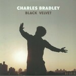 CHARLES BRADLEY BLACK VELVET