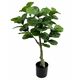 Lilium dekorativno stablo fikusa 75cm 567306