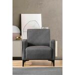 Petra - Anthracite Anthracite Wing Chair