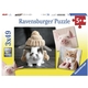 Ravensburger puzzle (slagalice) - Smesne životinje portret RA08028