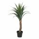 Atmosphera dekorativna biljka yucca palma h110 cm