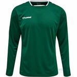 Hummel Dres Hmlauthentic Poly Jersey L/S 204922-6140