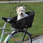Trixie pletena korpa za transport na biciklu
