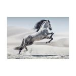 Slika na staklu White horse 120x80cm