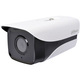 Dahua video kamera za nadzor IPC-HFW4230M, 1080p