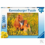 Ravensburger puzzle (slagalice) - Shetland Pony RA13283