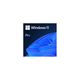 Microsoft Windows 11 Pro, FQC-10528, OEM, 64bit