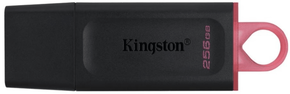 KINGSTON USB Flash memorija 256GB DTX/256GB