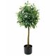 Lilium dekorativno stablo lagurus/šeflera 90cm 567285