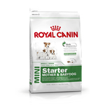 Royal Canin MINI STARTER - hrana za odbijanje štenaca od sisanja i zadnji period skotnosti kuja malih rasa pasa( 1-10 kg ) 1kg