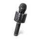 Forever audio sistem za karaoke BMS-300