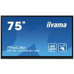 Iiyama ProLite TE7512MIS-B1AG monitor, IPS, 75", 16:9, 3840x2160, USB-C, HDMI, VGA (D-Sub), USB, Touchscreen