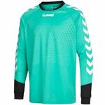 04087-6605 Hummel Dres Essential Goalkeeper Jersey 04087-6605