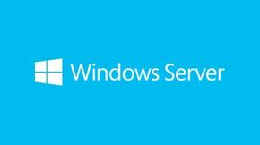 Windows Server CAL 2019 English MLP 5 Device CAL