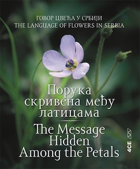 Poruka skrivena medju laticama The Message Hidden Among the Petals Dubravka Savic