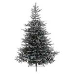 Bez brenda Novogodišnja jelka Grandis fir snowy 180cm-132cm Everlands