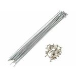 Mega Favorit Žica sa niplom 14G/2.00mm 192mm
