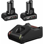 Bosch Professional 2x 12V 6,0 Ah + GAL 12V-40 starter set