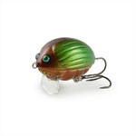LILBUG WASP