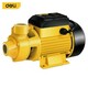 Periferna pumpa WZB750 DELI 750W EDL-WZB750-E1