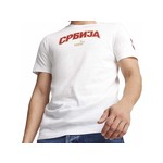 Puma Muška majica FSS FTBLICONS Tee