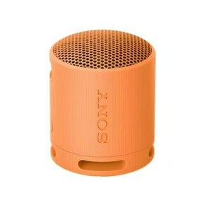 Sony SRS-XB100D (narandžasti)