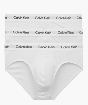 Calvin Klein muški donji veš 3 Pack Briefs - Cotton Stretch 0000U2661G100