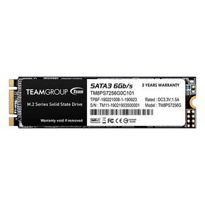 TeamGroup MS30 TM8PS7256G0C101 SSD 256GB