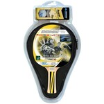 Donic Reket za stoni tenis Top team 500 Gift set