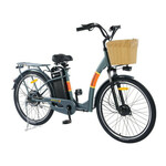 Favorit DAKOTA 26 zelena