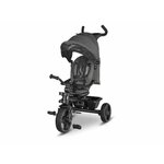 Lionelo Haari, Stone Grey