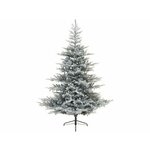 Everlands Novogodišnja jelka Grandis fir 210cm-150cm 68.1472