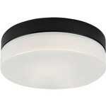 Rabalux Gaelo kupatilska plafonska lampa 75026