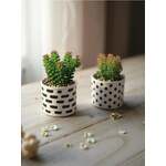 Sinsay - Ukrasne biljke 2 pack - svetlozelena svetlozelena SS 2025 345FR-07X