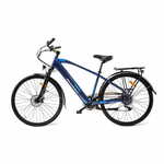 MS ENERGY eBike C11 M
