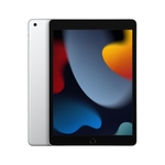 Apple iPad 10.2", (9th generation 2021), Silver, 256GB