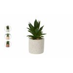 Biljka u saksiji Terrazzo 9,5x20cm više vrsta