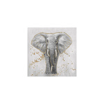 Slika sa ramom Gray elephant 100x100 cm
