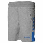 T931392-2007 Hummel Sorts Hmlerkose Shorts T931392-2007