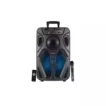 Intex audio sistem za karaoke T-311 TUFB