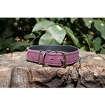 AlexaLeather.u Purple Haze ogrlica Classic 30mm