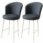 Alte - Anthracite, White AnthraciteWhite Bar Stool Set (2 Pieces)