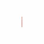 L'Oreal Paris Color Riche Lip Liner Olovka za usne 630 Cafe de Flore