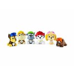 SPIN MASTER Paw Patrol BATH SQUIRTERS