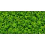 Glazura Pure Moss Glass 30/60