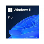 MICROSOFT Win 11 Pro GGK 64Bit Eng Intl 1pk DSP ORT OEI DVD ( 4YR-00316 )