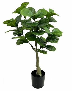 Lilium dekorativno stablo fikusa 75cm 567306