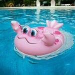 Guma za plivanje Dubak Roze Krabica