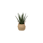 Veštačka biljka u posudi Aloe 16x13cm
