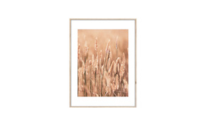 Slika sa ramom Golden Wheat 50X70cm